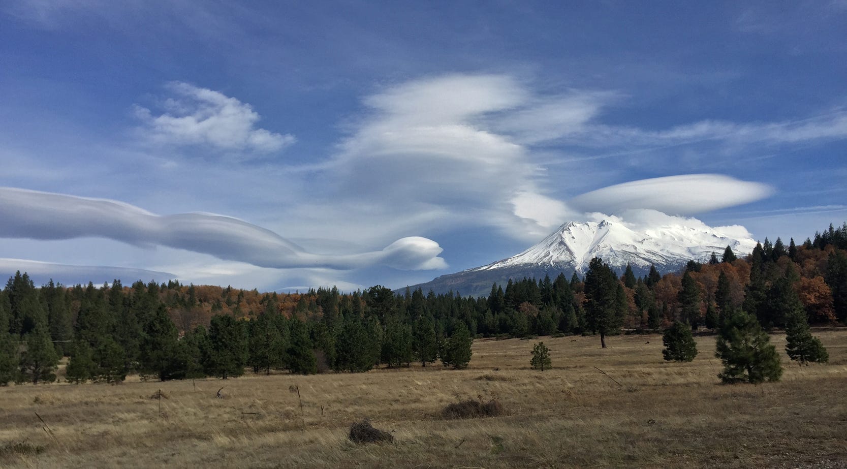 Lenticular clouds and Mt. Shasta from the Weed area, by Bill Miesse.