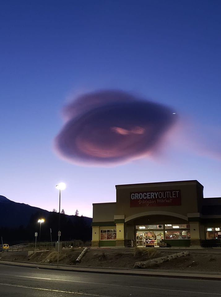 An add lenticular over Weed submitted by Vincent Clements